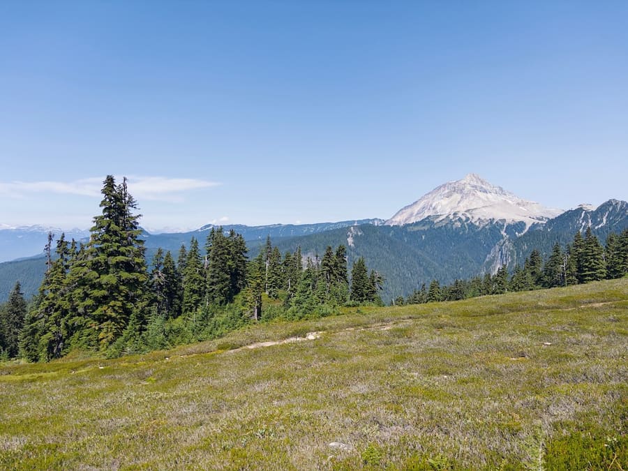 Mount Garibaldi rising above an evergreen forest
