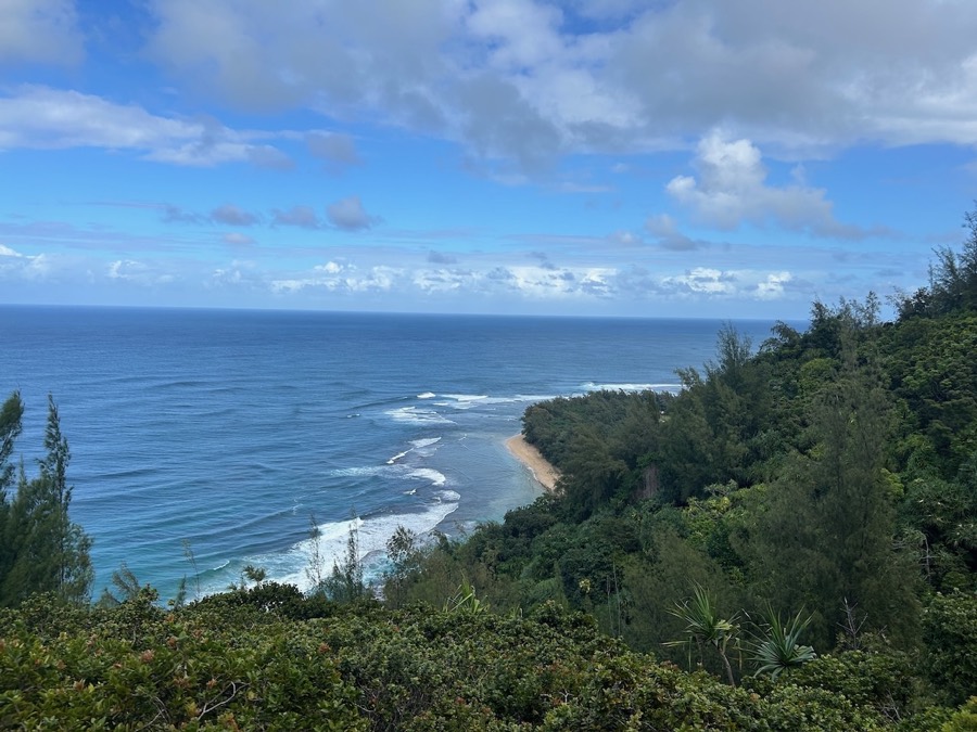 Kauaʻi coastline viewed from a forested trail