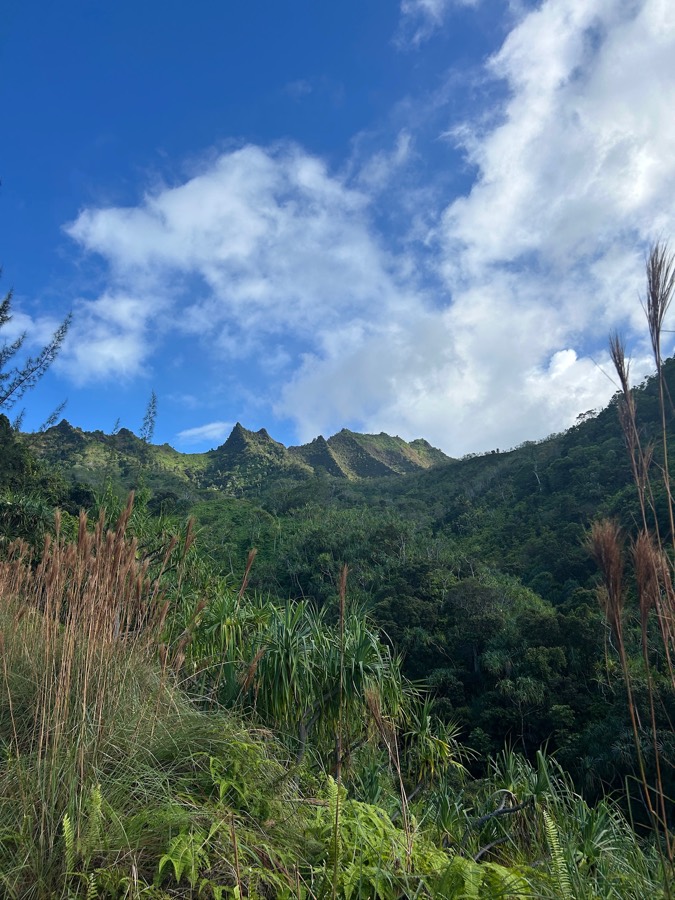 Green mountain ridge on Kauaʻi
