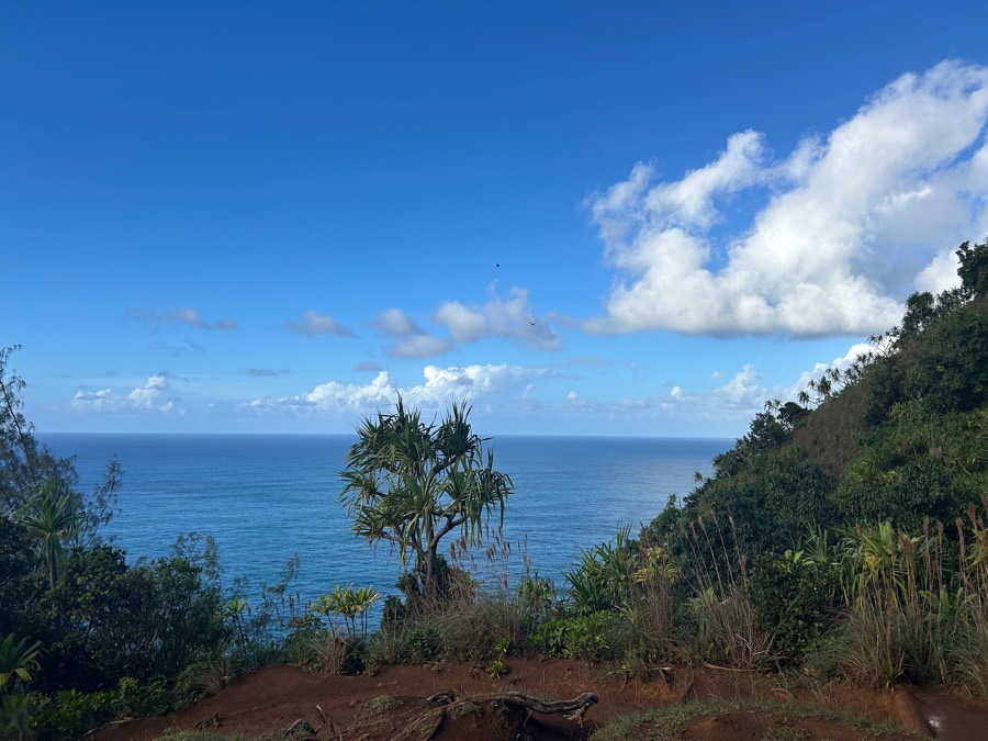 Ocean view from a Kauaʻi coastal trail