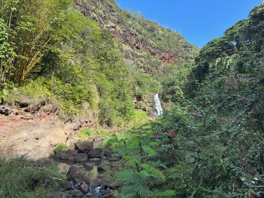 Waterfall beside a tropical trail in Hawaii