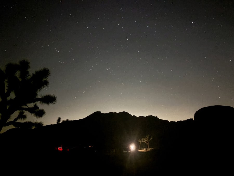 Joshua tree and rocky ridgeline beneath the night sky