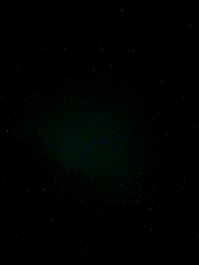 Dense field of stars above Joshua Tree