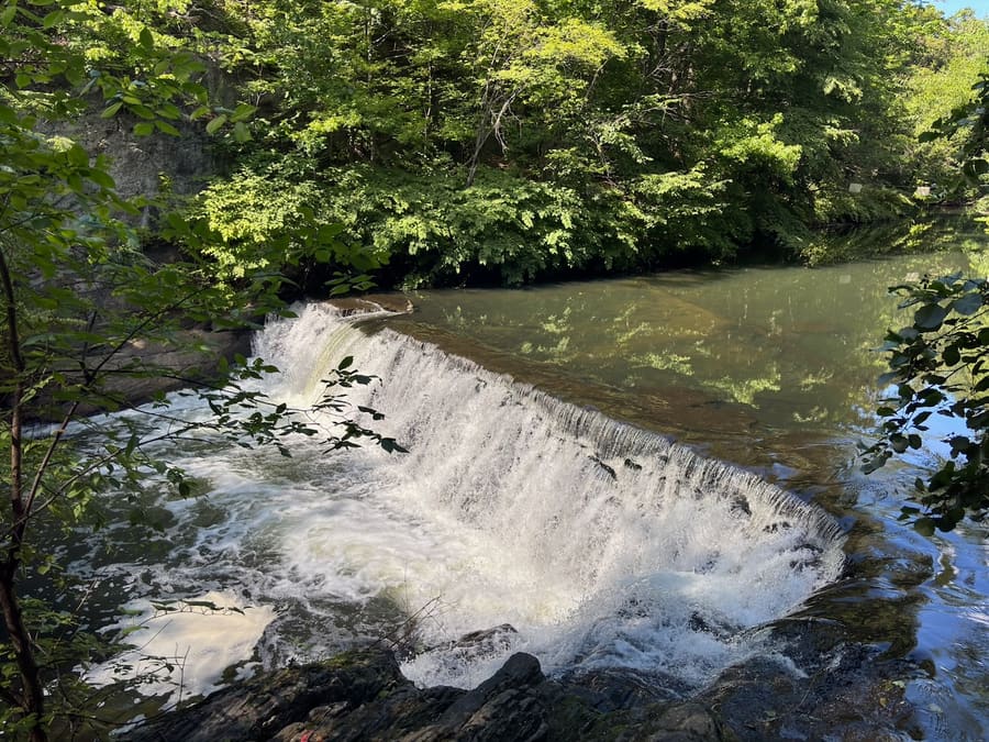 Bronx River waterfall framed by woodland