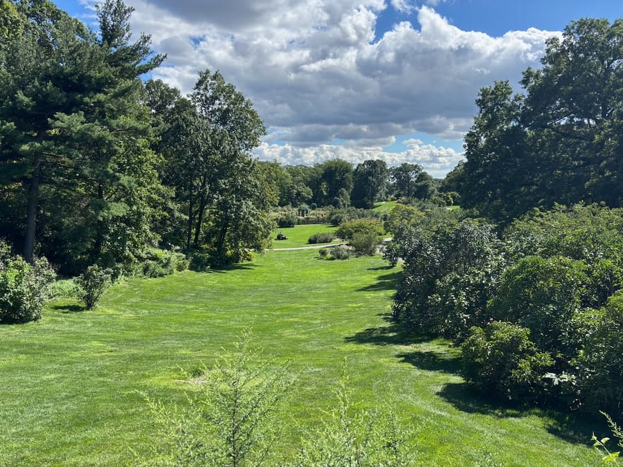 Wide green lawn framed by trees beneath dramatic summer clouds
