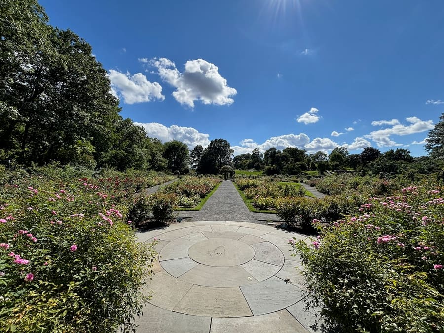Peggy Rockefeller Rose Garden beneath a bright blue sky