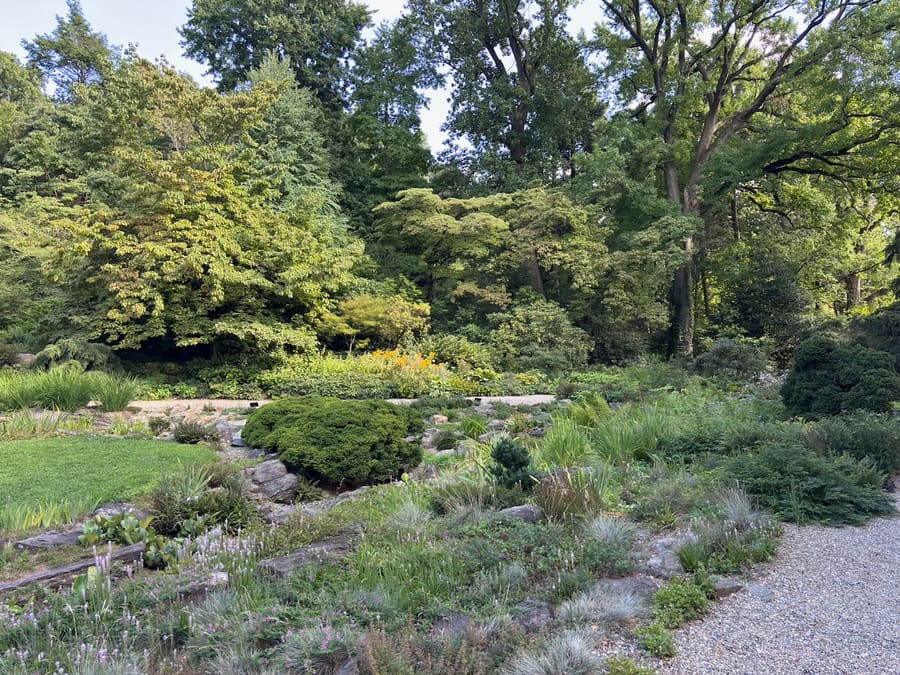 Woodland stream garden surrounded by trees