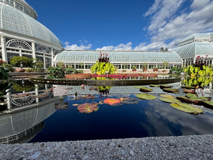 Enid A. Haupt Conservatory reflected in a lily pond