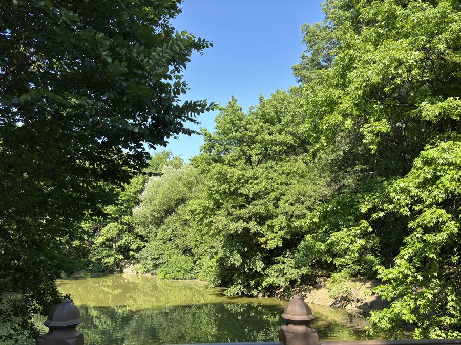 Central Park path