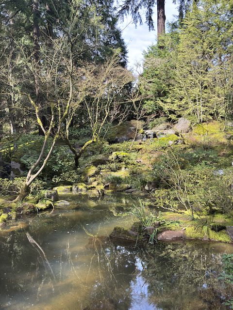 Japanese Garden Lake
