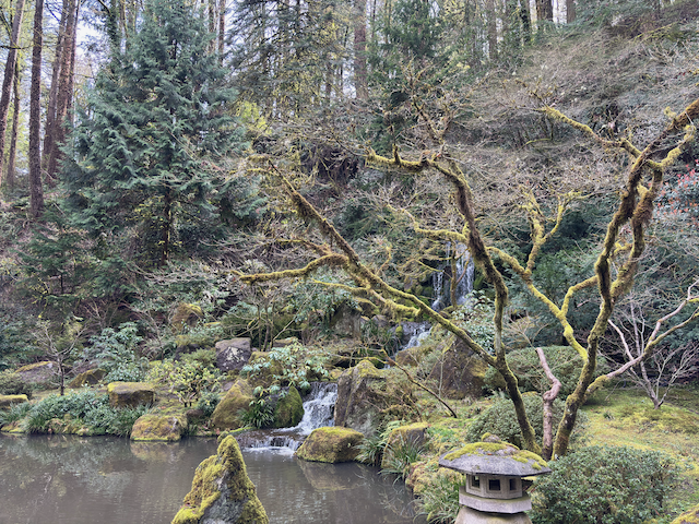 Waterfall Japanese Garden