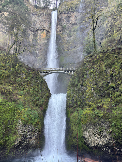View of the Multnoma Falls