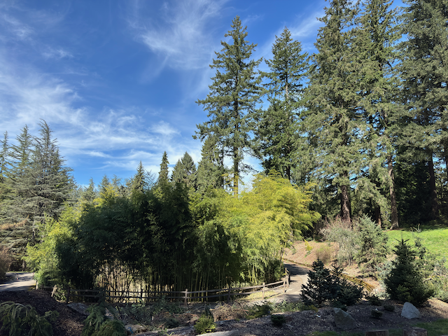 Arboretum