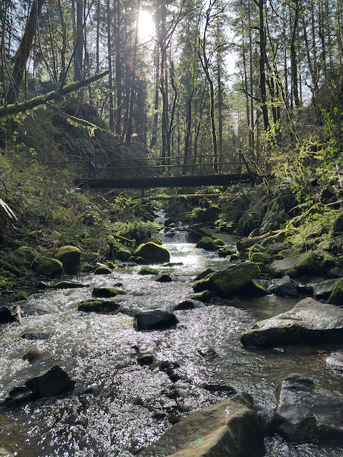 Bridge