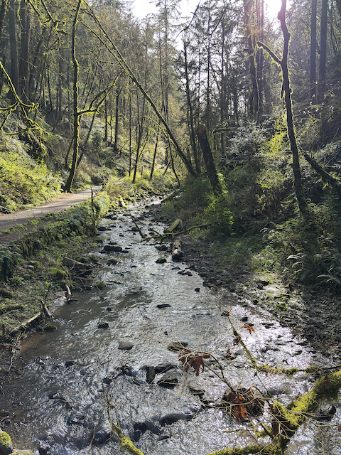 Large Stream