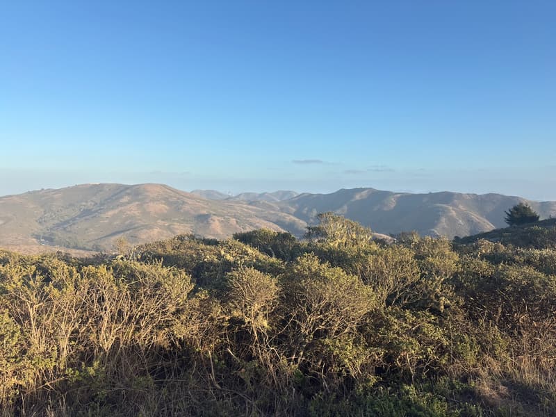 Golden hills and wooded valleys stretching across Marin