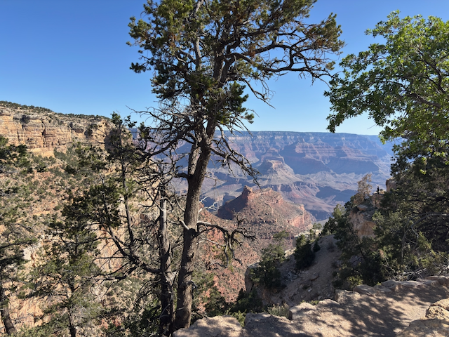 View at top of GC