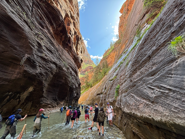 Full Narrows Canyon