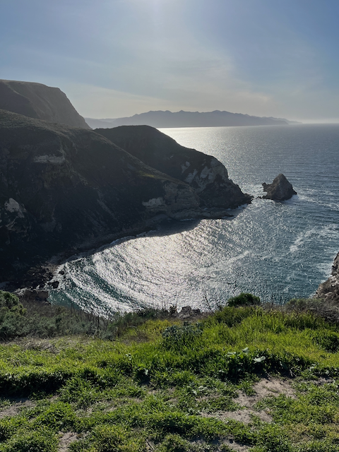 Green Coast