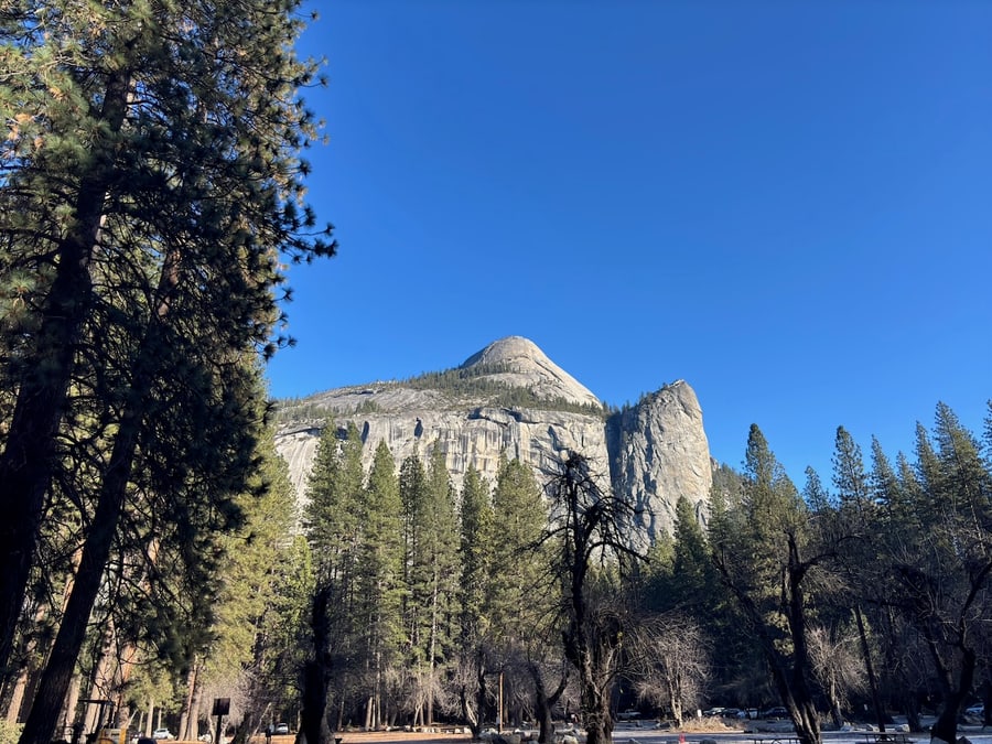 Half Dome framed by evergreen trees