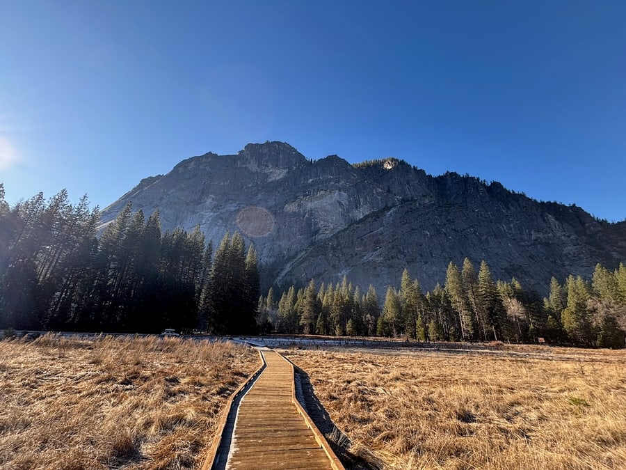 Boardwalk crossing a Yosemite meadow