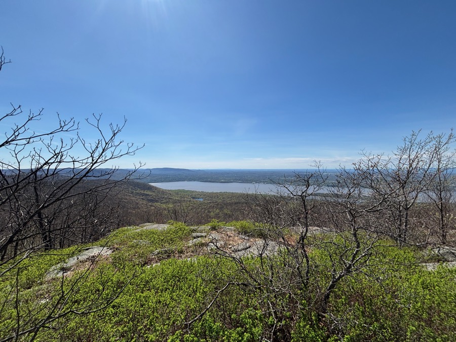 Spring foliage framing the Hudson River