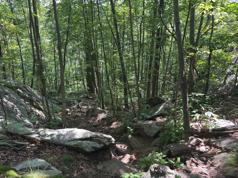 Rocky forest trail between Cold Spring and Beacon