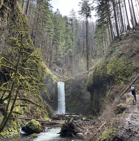 Multnomah Falls, Oregon