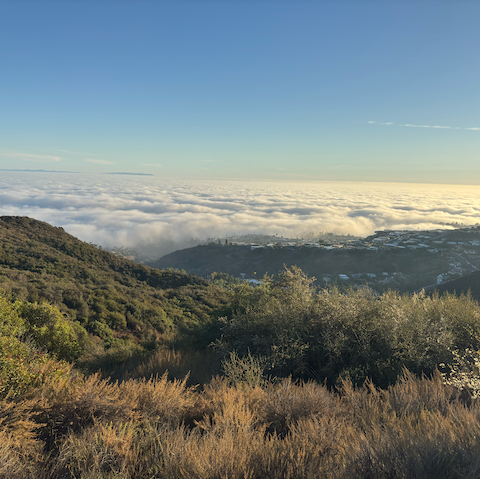 Pacific Palisades