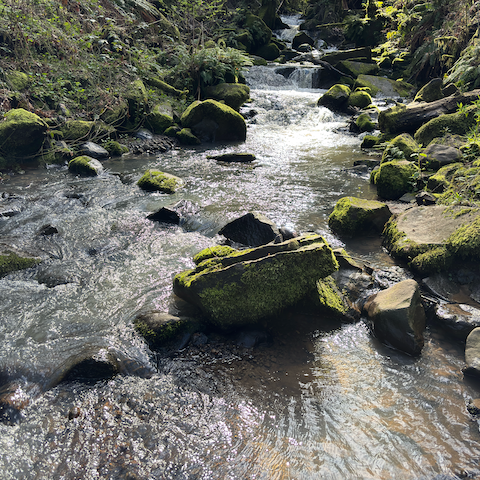 Washington Park, Oregon