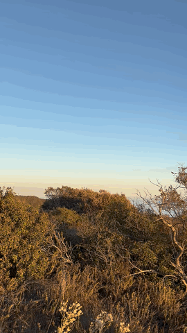 Golden-hour panorama over the hills and marine layer in Pacific Palisades
